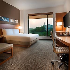 King Room Pool View